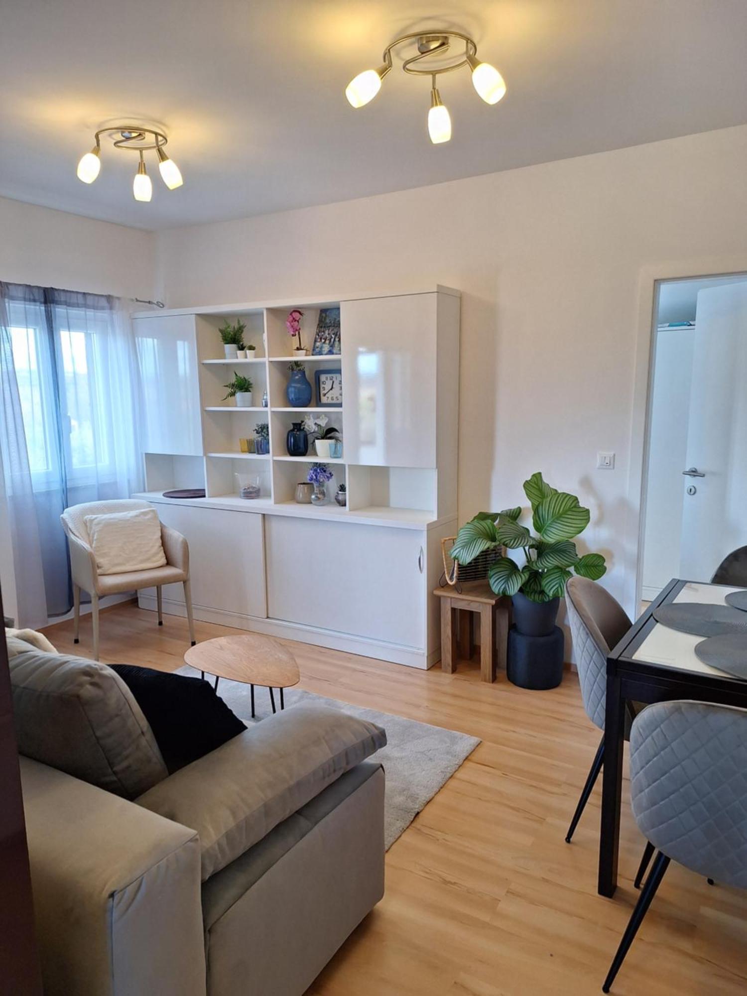 Apartment Dorina Buje Zewnętrze zdjęcie