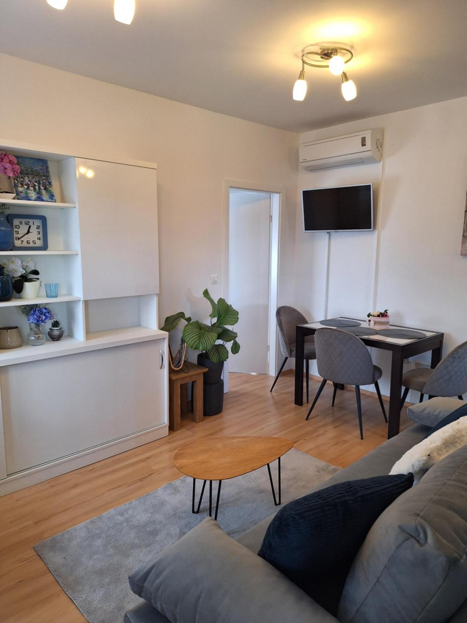 Apartment Dorina Buje Zewnętrze zdjęcie