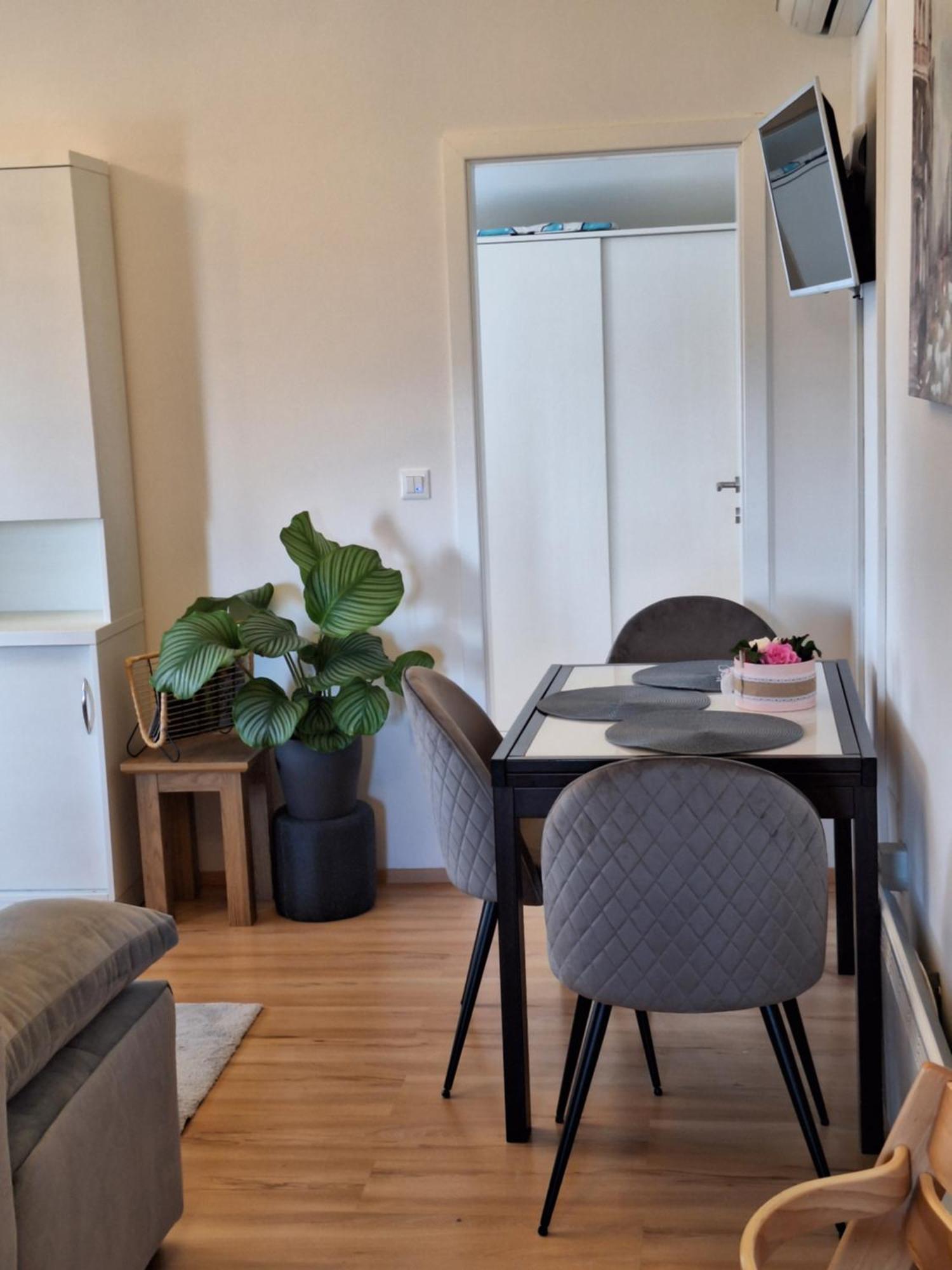 Apartment Dorina Buje Zewnętrze zdjęcie