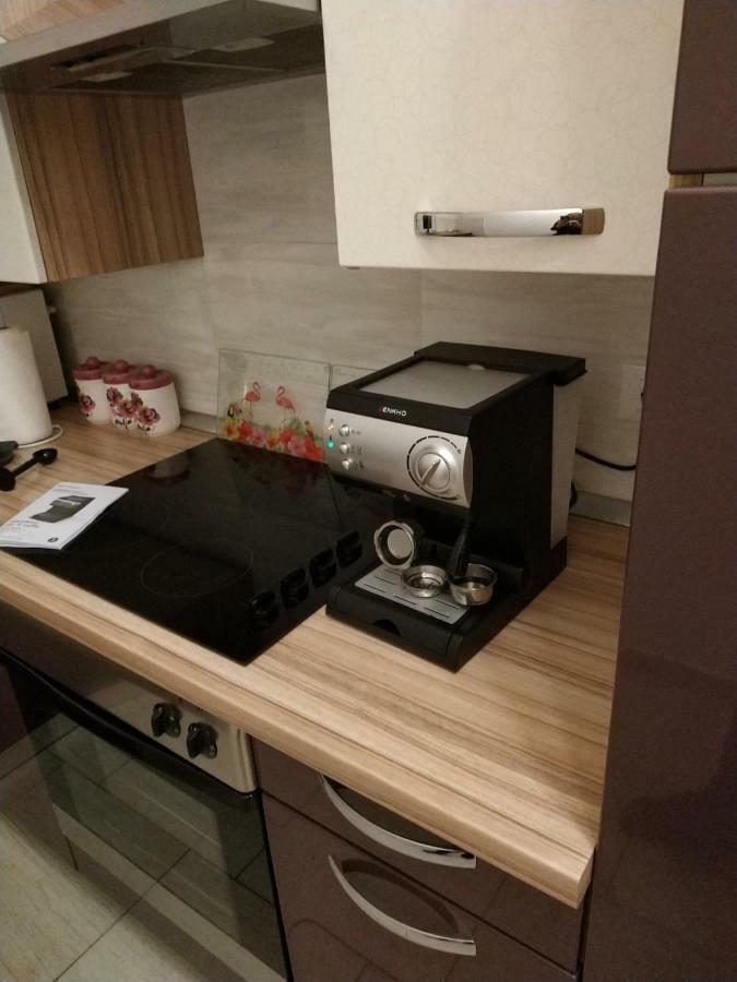 Apartment Dorina Buje Zewnętrze zdjęcie