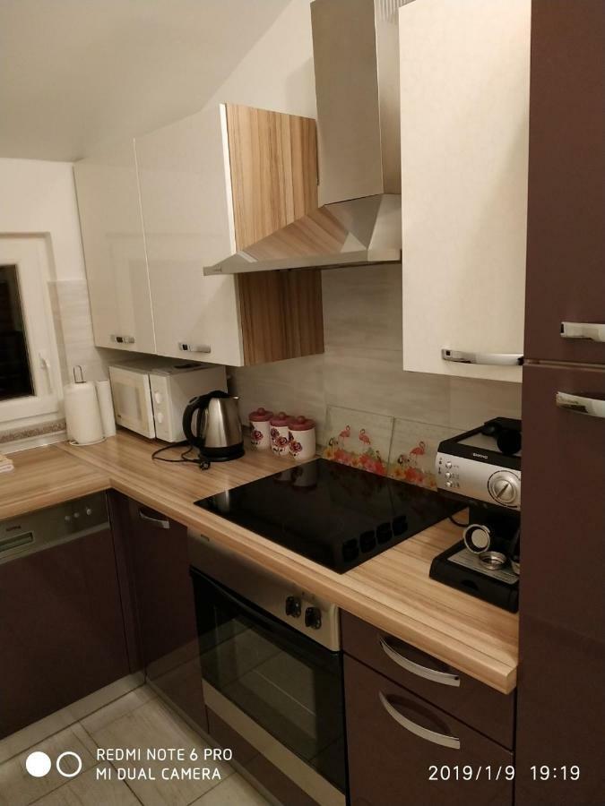 Apartment Dorina Buje Zewnętrze zdjęcie