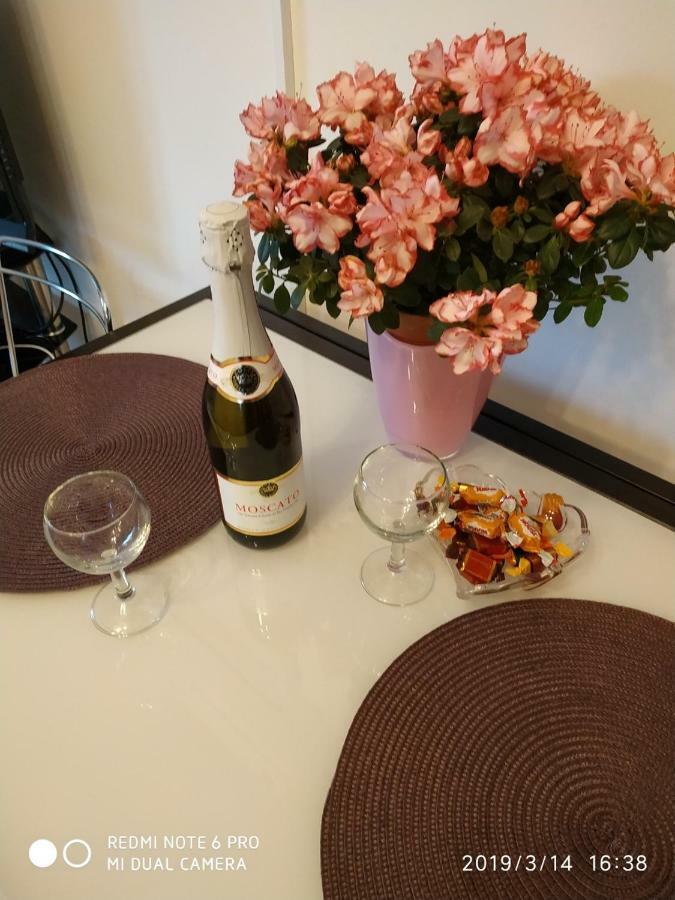 Apartment Dorina Buje Zewnętrze zdjęcie