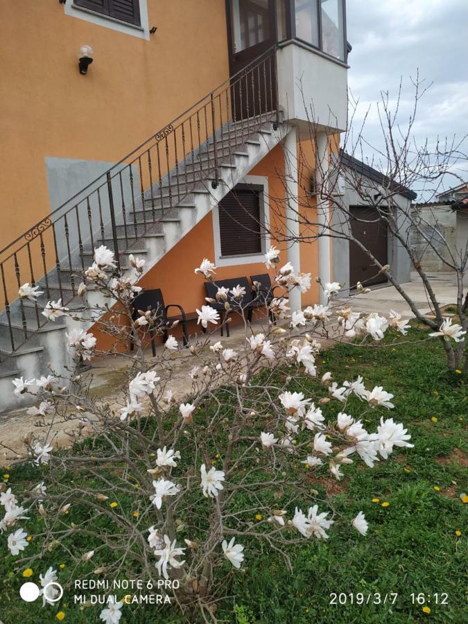 Apartment Dorina Buje Zewnętrze zdjęcie