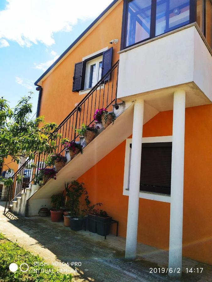 Apartment Dorina Buje Zewnętrze zdjęcie